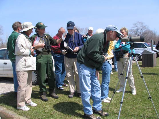 Birding