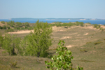 Dunes Habitat Dunes Habitat