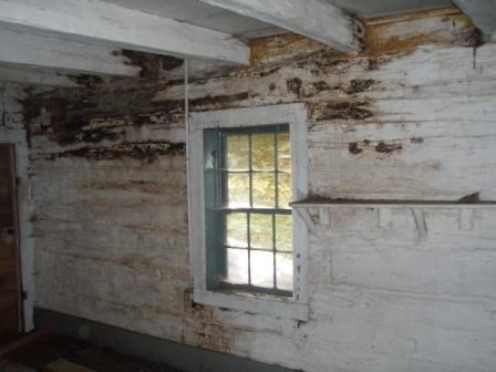 Weathered, peeling inside cabin walls