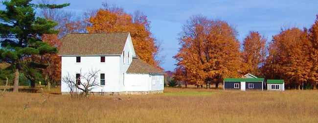 White farmhouse with outbuildings in a golden field