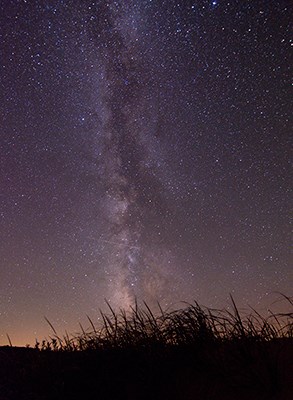 The Milky Way sillouettes dune grass.