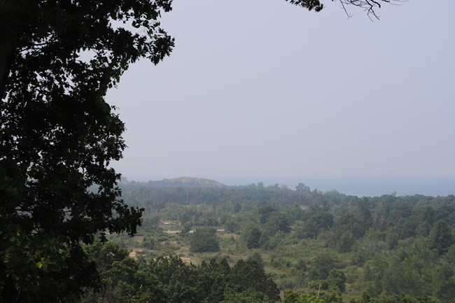 An overlook view toward trees and a large body of water occluded by a blue haze.