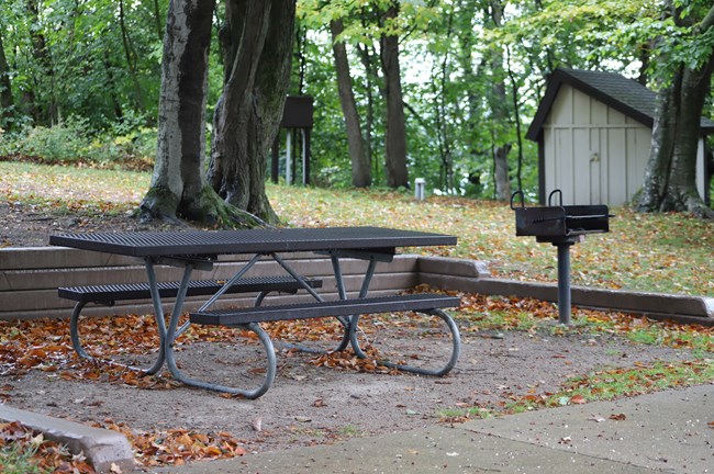 A picnic table and raised grill under trees, fall leaves surrounding.