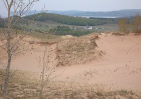 Cottonwood trail