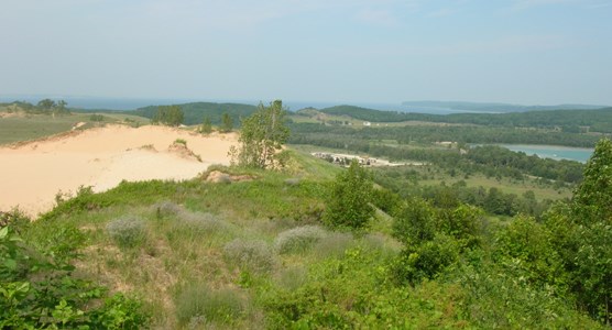 Dune Overlook