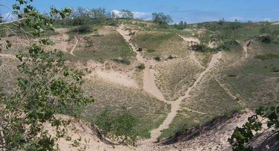 Dune Trail