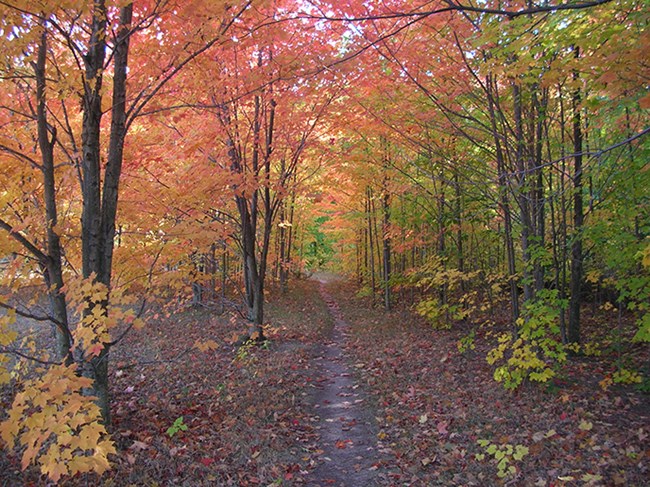 Hiking Trails - Sleeping Bear Dunes National Lakeshore (U.S. National Park  Service)