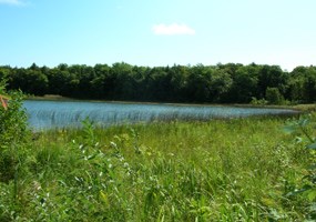 Florence Lake