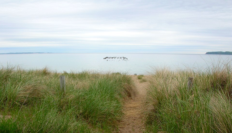 Lake Michigan from Glen Haven beach