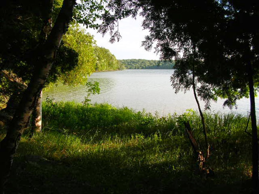 A peek of Manitou Lake through shoreline trees