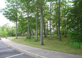 North Bar Lake Picnic Area