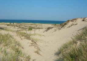 Beach Dunes to Lake MI