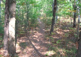 Old Indian Trail