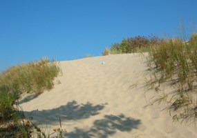 Trail through the Dunes to Lake MI