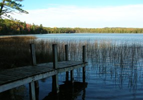 Bass Lake Dock