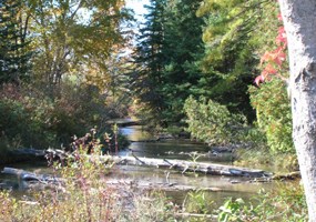 Otter Creek from the Trail looking downstream.