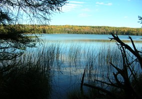 Otter Lake