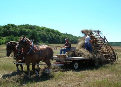 Horse-drawn Hay Loader, Port Oneida Fair 2005