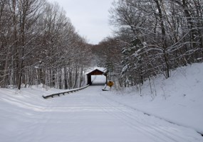 PS Drive Covered Bridge