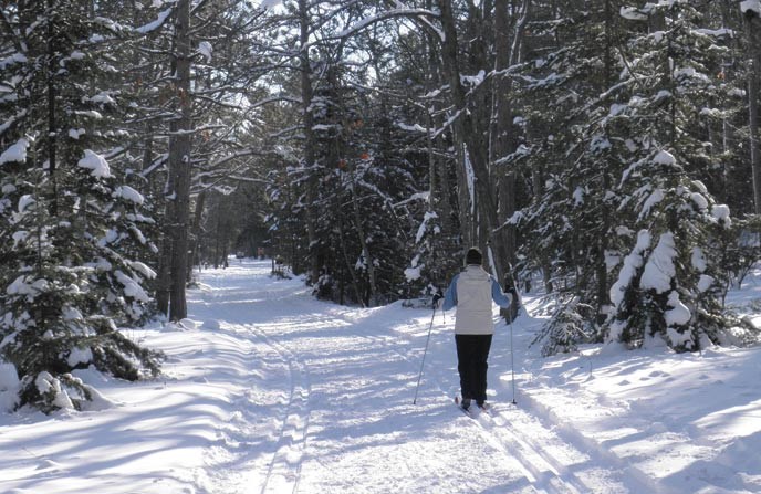 Skier gliding down tree-lined trail