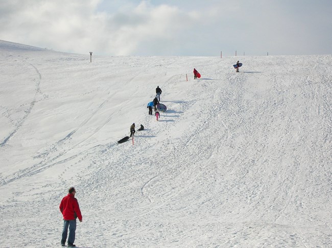 Sledding down the Dune Climb