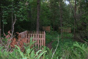 Graves near original SMI Village