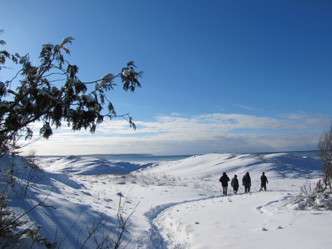 Snowshoeing in the park