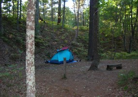 White Pines Camp Site