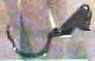 stamped M1 rifle trigger guard