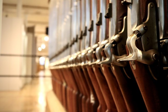 A row of firearm hammers lined up in the Organ of Muskets.