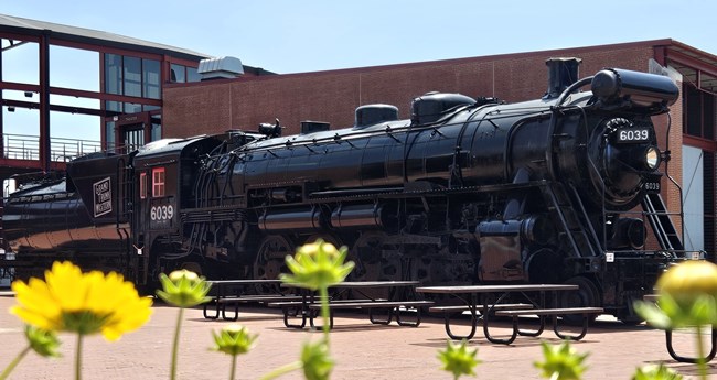 Grand Trunk Western No. 6039, framed by blooming yellow flowers, on a warm June day at Steamtown.