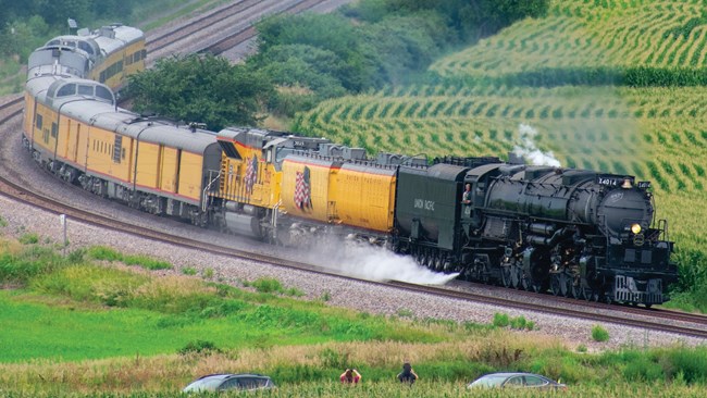 A large steam locomotive steams around a corner pulling a bright yellow train amid lush green farming fields