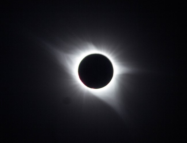 Image of a full solar eclipse, with only the corona of the sun visable.