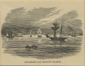 A woodcut print of Governor's and Bedloe's Island circa 1860.