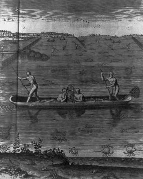 An illustration by John White of Native American men and women fishing in a dugout canoe. In the background, native men spear fish in the water. 
