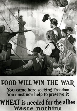 This poster asked immigrants not to waste wheat during the war.