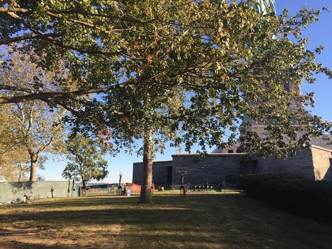 A quiet place to enjoy a view of the back of the Statue of Liberty through the trees.