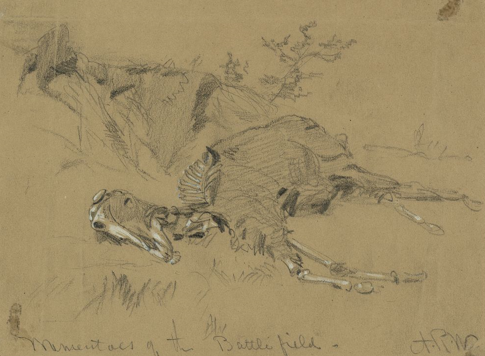 Pencil drawing of a dead horse on yellowed paper.