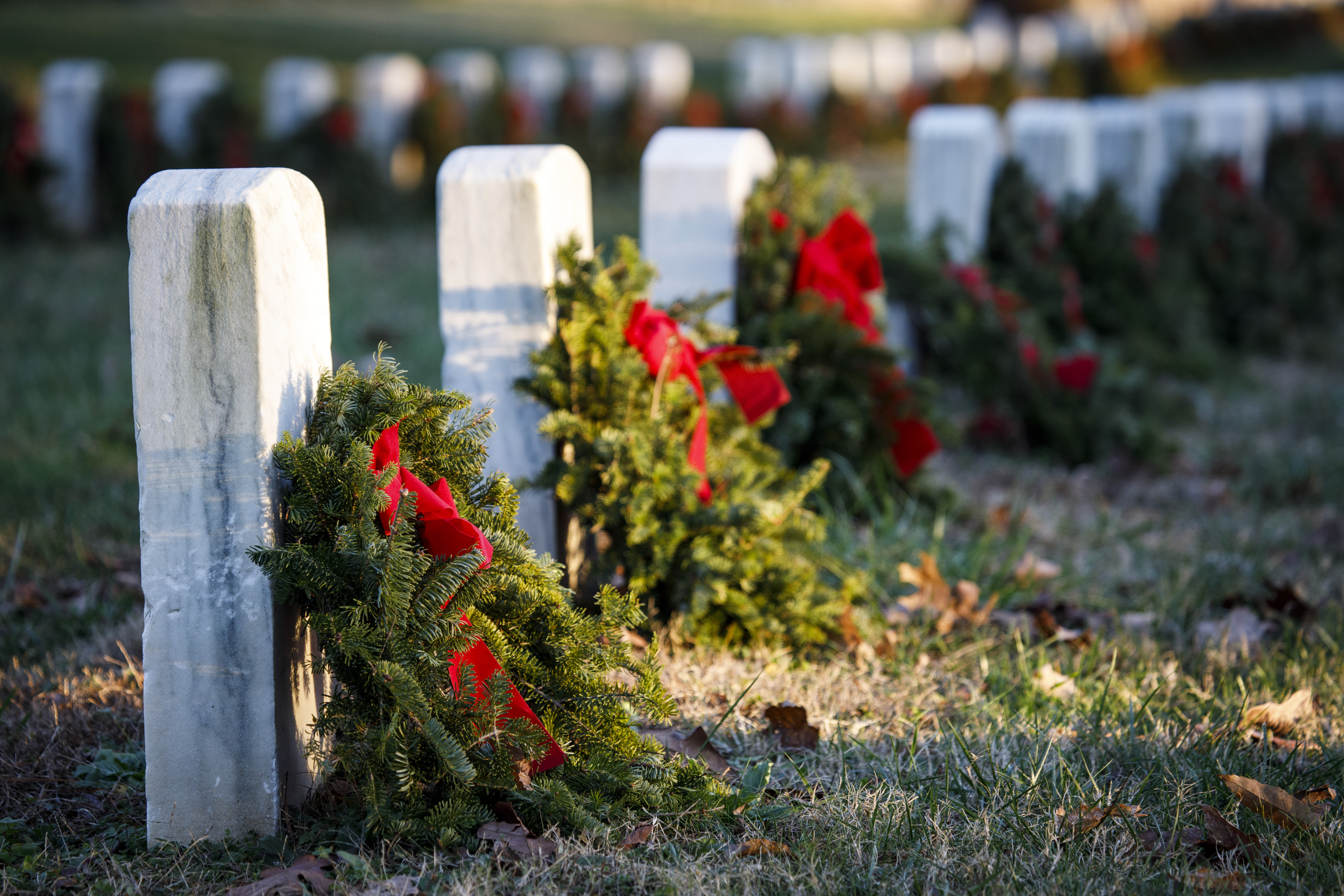 Wreaths adorned with red bows lean against white headstones aligned in a row.
