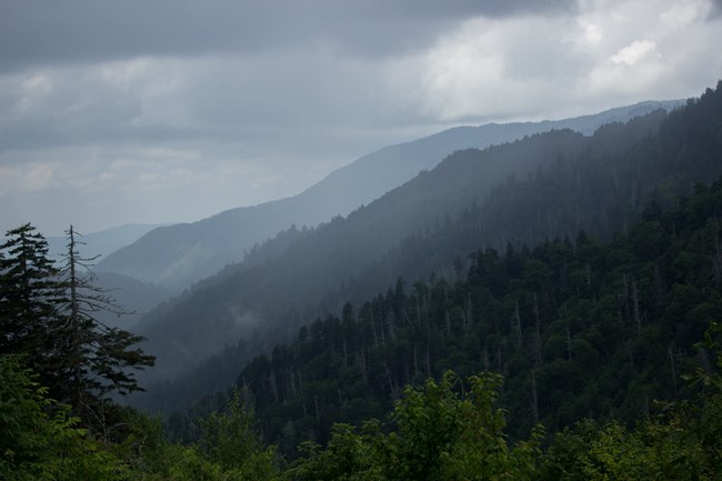 Appalachian Mountains in blue tone photograph.