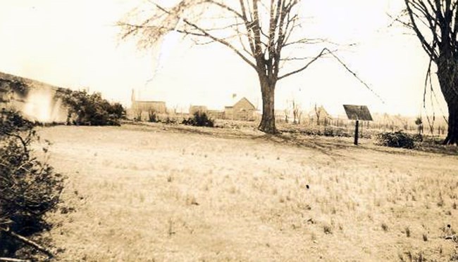 Sepia tone photo of Holland's property with trees and brown grass.