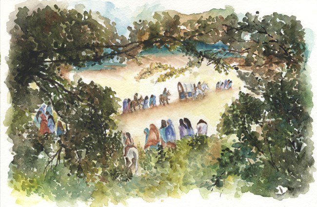 Amongst green trees are many Cherokee people walking on their long journey.