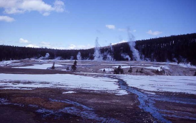 Geysers at Yellowstone National Park