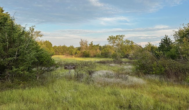 Photo of a cedar glade with a sign that says "fragile cedar glades, do not enter, violators will be fined"