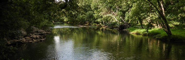 a river reflecting light surrounded by trees