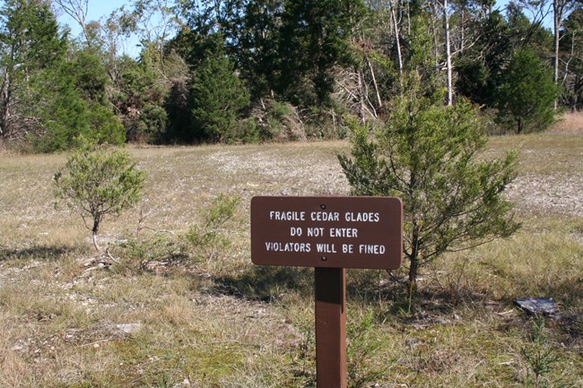Sign in cedar glade reads Fragile Cedar Glades, Do Not Enter, Violaters Will Be Fined.