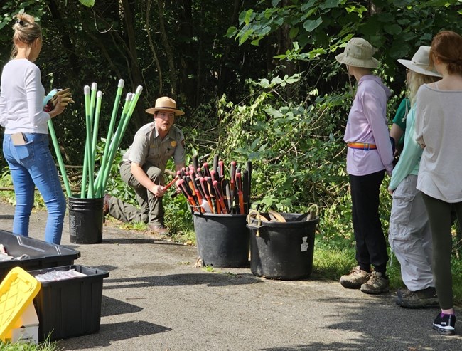 a park ranger instructing volunteers how to remove invasive plants