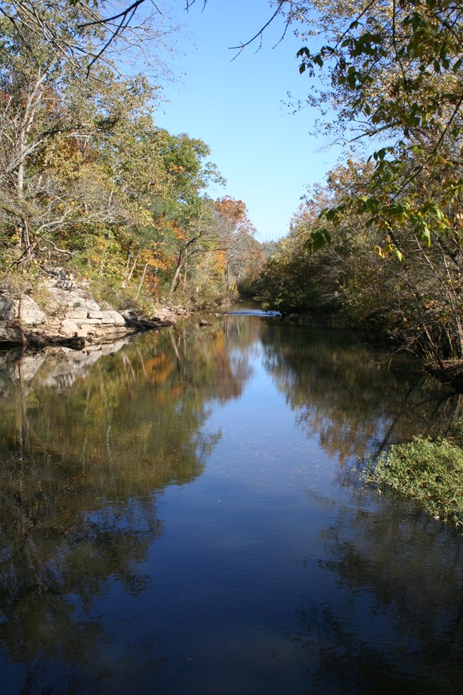 a river lined with trees