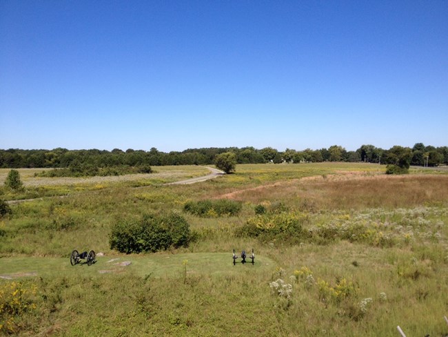 grasslands with two cannons and a road