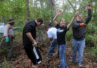 NPS employees and volunteers remove invasive exotic plants from the battlefield.